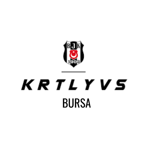 Kartal Yuvası Bursa